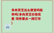 多肉灵芝这么便宜吗能养吗(多肉灵芝价格实惠 饲养要点一网打尽)
