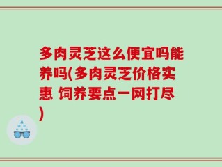 多肉灵芝这么便宜吗能养吗(多肉灵芝价格实惠 饲养要点一网打尽)