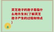 灵芝孢子的孢子是指什么地方生长(了解灵芝孢子产生的过程和特点)