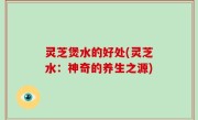 灵芝煲水的好处(灵芝水：神奇的养生之源)