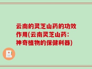 云南的灵芝山药的功效作用(云南灵芝山药：神奇植物的保健利器)