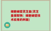 细胞破壁灵芝皇(灵芝皇提取物：细胞破壁技术应用的利器)