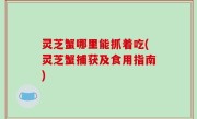 灵芝蟹哪里能抓着吃(灵芝蟹捕获及食用指南)