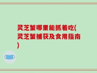 灵芝蟹哪里能抓着吃(灵芝蟹捕获及食用指南)