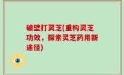 破壁打灵芝(重构灵芝功效，探索灵芝药用新途径)