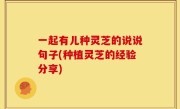 一起有儿种灵芝的说说句子(种植灵芝的经验分享)
