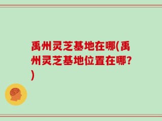 禹州灵芝基地在哪(禹州灵芝基地位置在哪？)