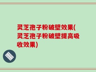 灵芝孢子粉破壁效果(灵芝孢子粉破壁提高吸收效果)