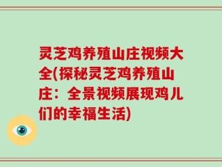 灵芝鸡养殖山庄视频大全(探秘灵芝鸡养殖山庄：全景视频展现鸡儿们的幸福生活)