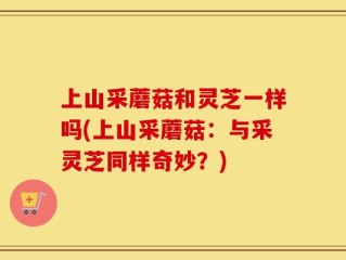 上山采蘑菇和灵芝一样吗(上山采蘑菇：与采灵芝同样奇妙？)