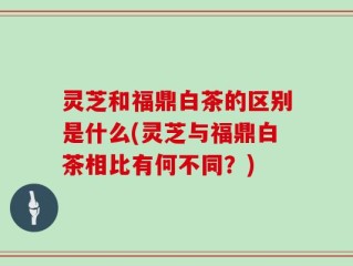 灵芝和福鼎白茶的区别是什么(灵芝与福鼎白茶相比有何不同？)