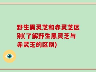 野生黑灵芝和赤灵芝区别(了解野生黑灵芝与赤灵芝的区别)