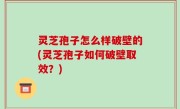 灵芝孢子怎么样破壁的(灵芝孢子如何破壁取效？)