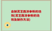 自制灵芝西洋参粉的功效(灵芝西洋参粉的功效及制作方法)