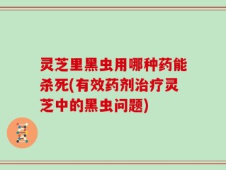 灵芝里黑虫用哪种药能杀死(有效药剂治疗灵芝中的黑虫问题)