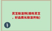 灵芝除渣剂(提炼灵芝，好品质从除渣开始)
