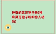 神奇的灵芝孢子粉(神奇灵芝孢子粉的惊人功效)