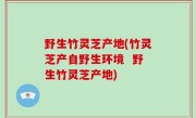 野生竹灵芝产地(竹灵芝产自野生环境  野生竹灵芝产地)
