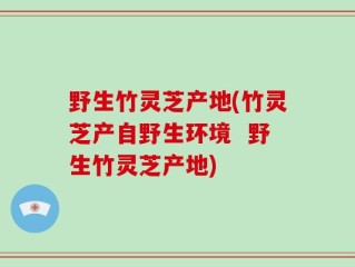 野生竹灵芝产地(竹灵芝产自野生环境  野生竹灵芝产地)