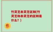竹灵芝赤灵芝区别(竹灵芝和赤灵芝的区别是什么？)