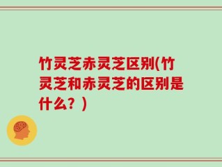 竹灵芝赤灵芝区别(竹灵芝和赤灵芝的区别是什么？)