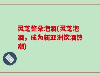 灵芝整朵泡酒(灵芝泡酒，成为新亚洲饮酒热潮)