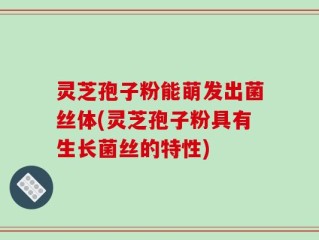 灵芝孢子粉能萌发出菌丝体(灵芝孢子粉具有生长菌丝的特性)