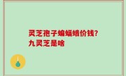 灵芝孢子蝙蝠蛾价钱？九灵芝是啥