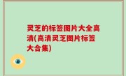 灵芝的标签图片大全高清(高清灵芝图片标签大合集)