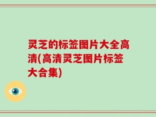 灵芝的标签图片大全高清(高清灵芝图片标签大合集)