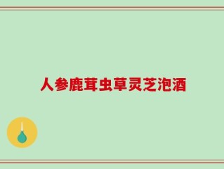 人参鹿茸虫草灵芝泡酒