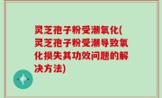 灵芝孢子粉受潮氧化(灵芝孢子粉受潮导致氧化损失其功效问题的解决方法)