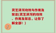 灵芝泽泻功效与作用及禁忌(灵芝泽泻的功效、作用及禁忌，让你了解全部！)