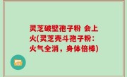 灵芝破壁孢子粉 会上火(灵芝壳斗孢子粉：火气全消，身体倍棒)