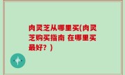 肉灵芝从哪里买(肉灵芝购买指南 在哪里买最好？)