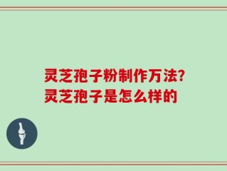 灵芝孢子粉制作万法？灵芝孢子是怎么样的