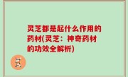 灵芝都是起什么作用的药材(灵芝：神奇药材的功效全解析)