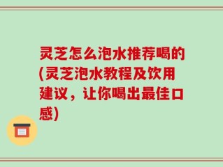 灵芝怎么泡水推荐喝的(灵芝泡水教程及饮用建议，让你喝出最佳口感)