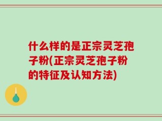 什么样的是正宗灵芝孢子粉(正宗灵芝孢子粉的特征及认知方法)
