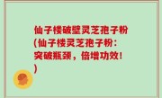 仙子楼破壁灵芝孢子粉(仙子楼灵芝孢子粉：突破瓶颈，倍增功效！)