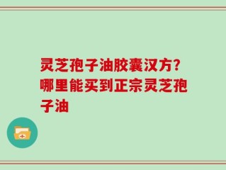 灵芝孢子油胶囊汉方？哪里能买到正宗灵芝孢子油