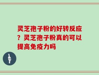 灵芝孢子粉的好转反应？灵芝孢子粉真的可以提高免疫力吗