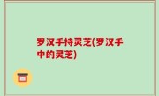罗汉手持灵芝(罗汉手中的灵芝)