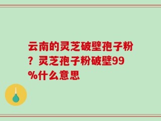 云南的灵芝破壁孢子粉？灵芝孢子粉破壁99%什么意思