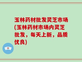 玉林药材批发灵芝市场(玉林药材市场内灵芝批发，每天上新，品质优良)