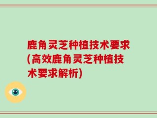 鹿角灵芝种植技术要求(高效鹿角灵芝种植技术要求解析)