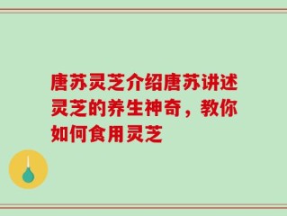 唐苏灵芝介绍唐苏讲述灵芝的养生神奇，教你如何食用灵芝