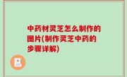 中药材灵芝怎么制作的图片(制作灵芝中药的步骤详解)