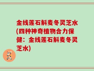 金线莲石斛麦冬灵芝水(四种神奇植物合力保健：金线莲石斛麦冬灵芝水)
