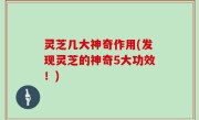 灵芝几大神奇作用(发现灵芝的神奇5大功效！)